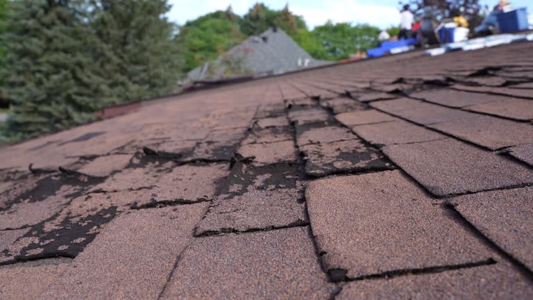  Houghton, MI Roofing Service Pros