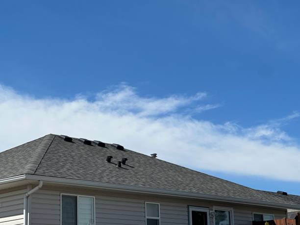 Trusted Houghton, MI Roofing Service Experts